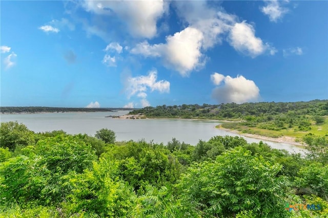 522 Woodland Point Rd, Belton, TX 76513 - water view