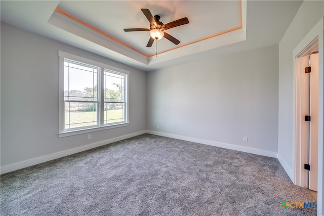 empty room featuring carpet floors and a raised ceiling