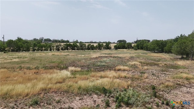 10945 Dillon Rd, Atascosa, TX 78002