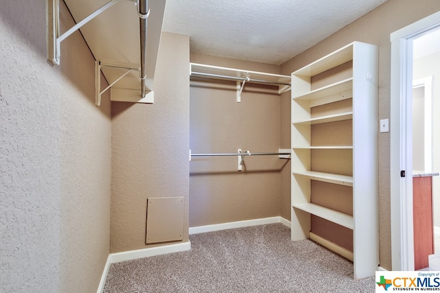 spacious closet with carpet