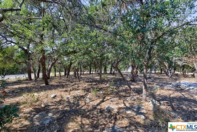 3037 Rustler, Canyon Lake, TX 78133 - view of yard