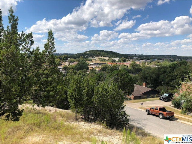 908 Davie Lee Dr, Copperas Cove TX, 76522 land for sale