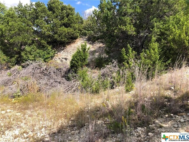 908 Davie Lee Dr, Copperas Cove, TX 76522