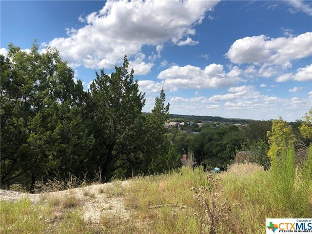 908 Davie Lee Dr, Copperas Cove, TX 76522