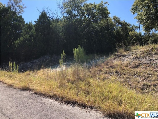 908 Davie Lee Dr, Copperas Cove, TX 76522