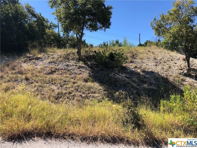 908 Davie Lee Dr, Copperas Cove, TX 76522