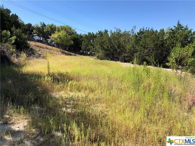 908 Davie Lee Dr, Copperas Cove, TX 76522