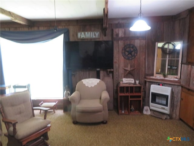 206 S Allen Ave, Edna, TX 77957 - photo 9
