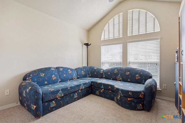 carpeted living room featuring vaulted ceiling and a textured ceiling