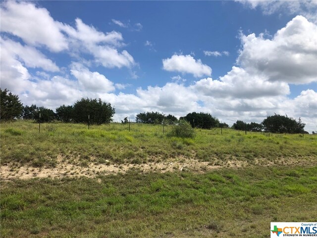 Listing photo 3 for 7885 W Fm 580, Lampasas TX 76550