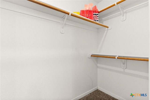 spacious closet featuring carpet flooring