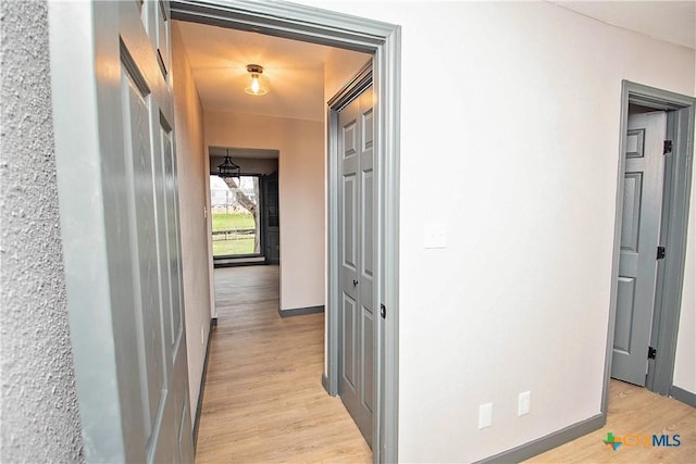 hall featuring light hardwood / wood-style floors