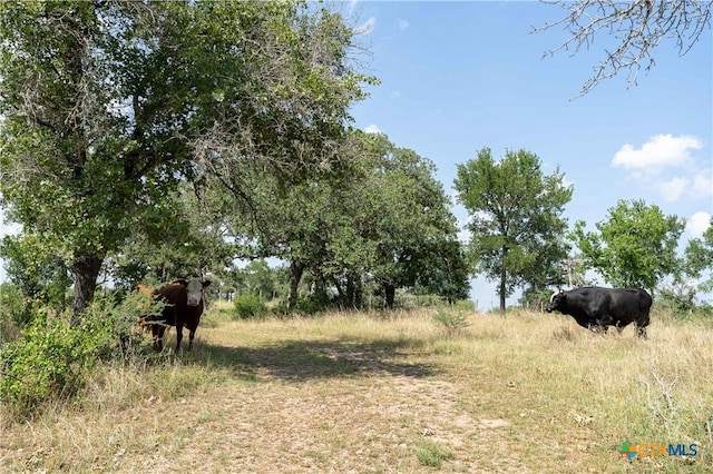 00 Gravel Pit Rd, Seguin, TX 78155