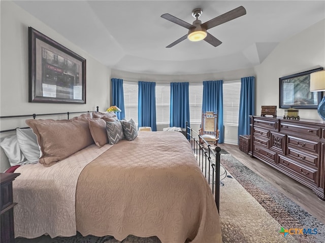 bedroom with a raised ceiling, wood finished floors, and a ceiling fan