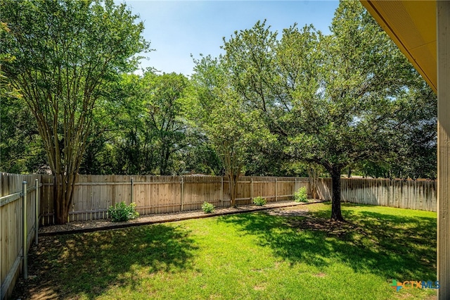 view of yard