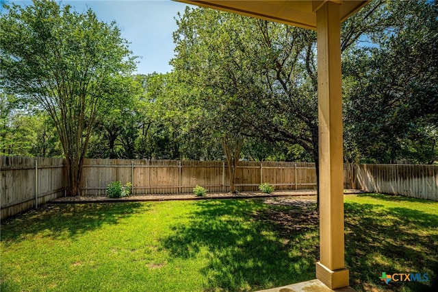 775 San Luis, New Braunfels, TX 78132 - rear view of house with a trampoline, a chimney, fence, a yard, and a patio area