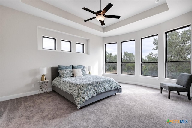 carpeted bedroom with ceiling fan and a tray ceiling