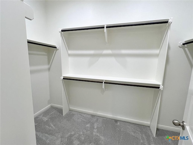 spacious closet with carpet flooring