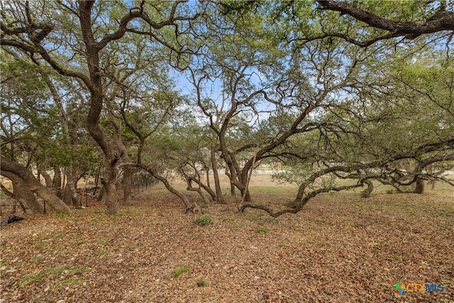 1220 Lavaca, Canyon Lake TX, 78133 land for sale