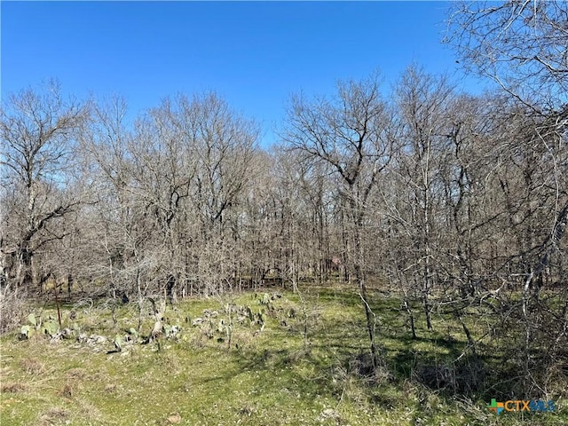 Listing photo 3 for TBD County Road 418a, Bartlett TX 76511