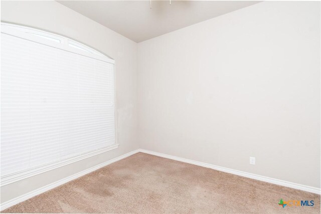 6408 Castle Gap Dr, Killeen, TX 76549 - photo 21