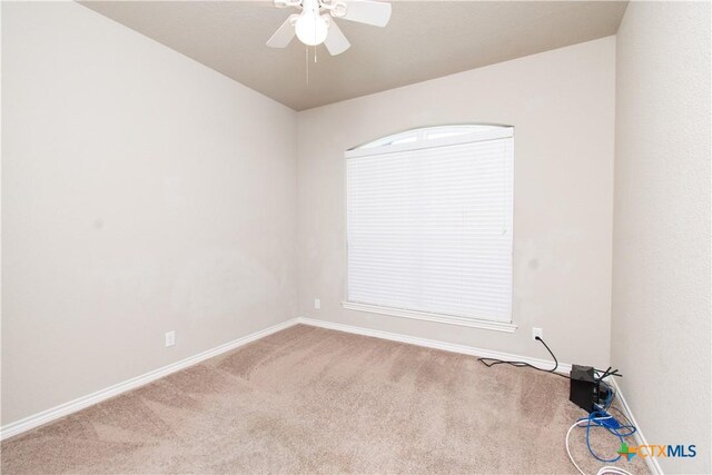 6408 Castle Gap Dr, Killeen, TX 76549 - photo 20