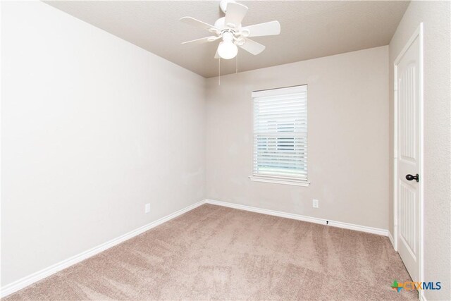 6408 Castle Gap Dr, Killeen, TX 76549 - photo 15