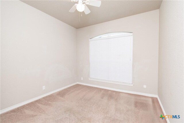 6408 Castle Gap Dr, Killeen, TX 76549 - photo 19