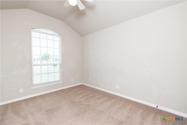 6408 Castle Gap Dr, Killeen, TX 76549 - photo 29