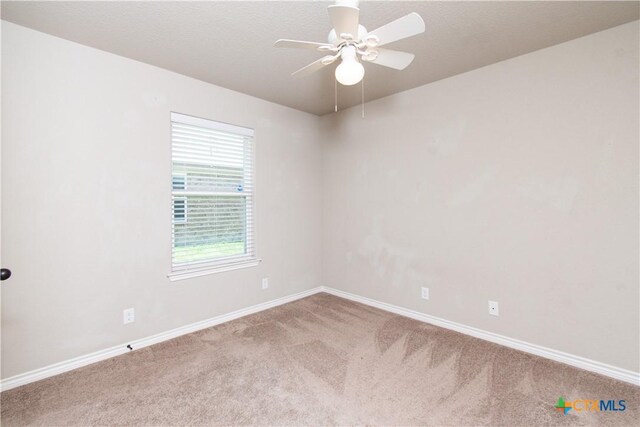6408 Castle Gap Dr, Killeen, TX 76549 - photo 25