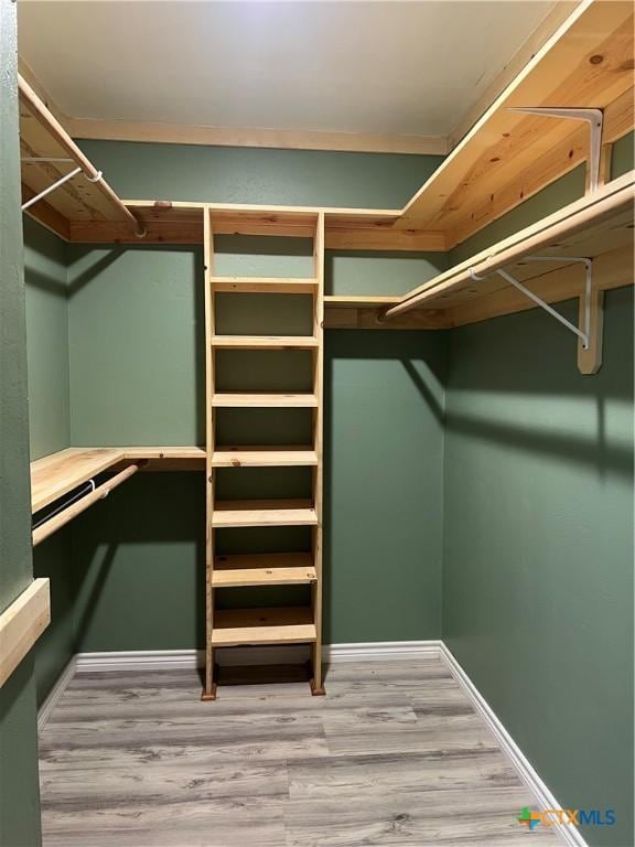 spacious closet featuring wood-type flooring