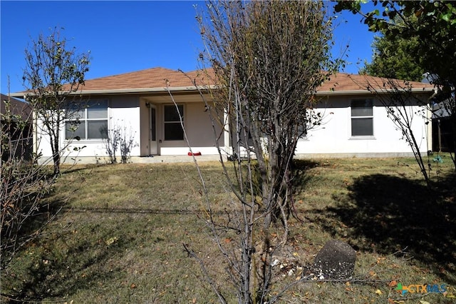 rear view of property with a yard