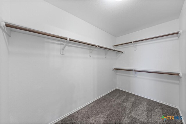 2205 Bald Eagle Ct, Killeen, TX 76549 - spacious closet with dark colored carpet