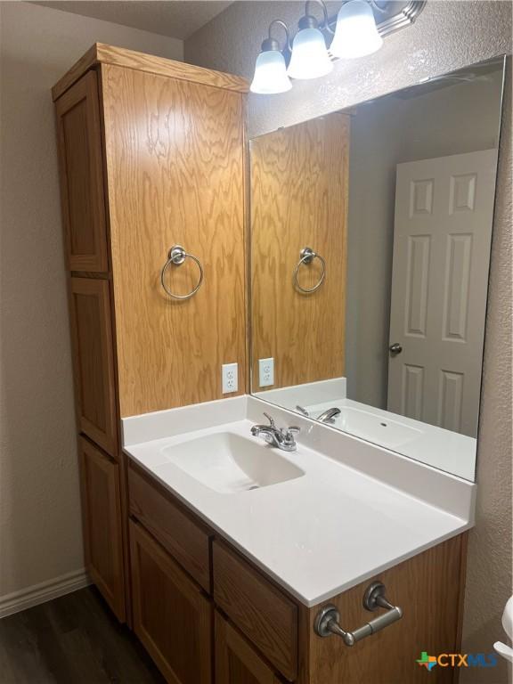 bathroom featuring hardwood / wood-style floors and vanity