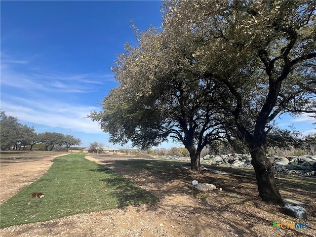 view of yard featuring a rural view