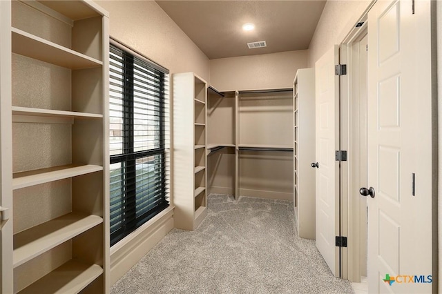 2892 Beulah Blvd, Belton, TX 76513 - walk in closet with carpet