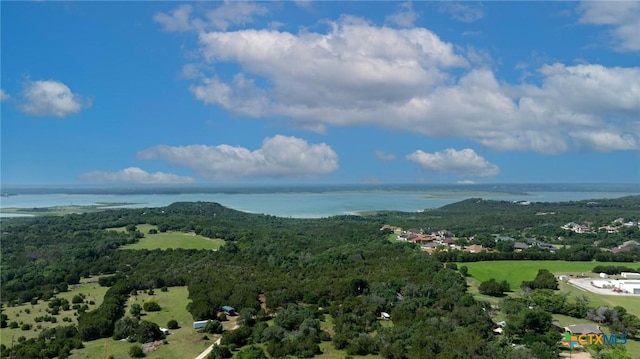 2892 Beulah Blvd, Belton, TX 76513 - bird's eye view of a large body of water and a forest