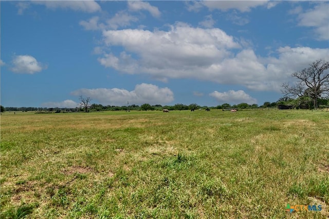 000 Fm 1115, Flatonia, TX 78941 - photo 9