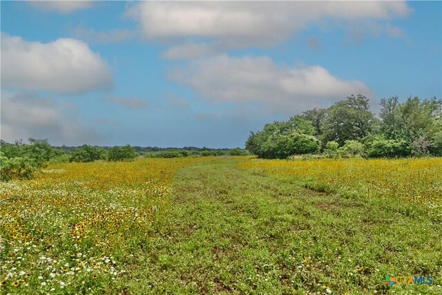 000 Fm 1115, Flatonia, TX 78941 - photo 11