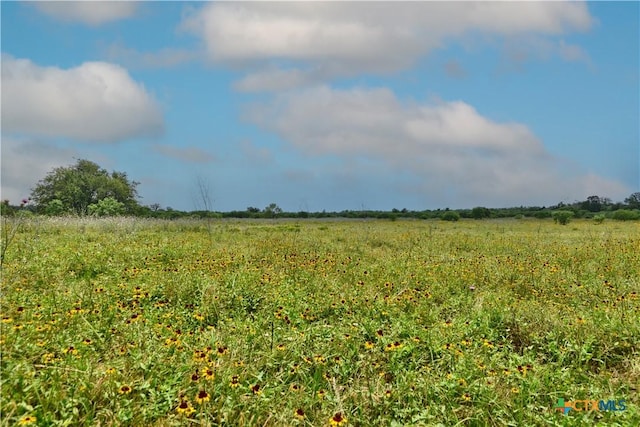 000 Fm 1115, Flatonia, TX 78941 - photo 5