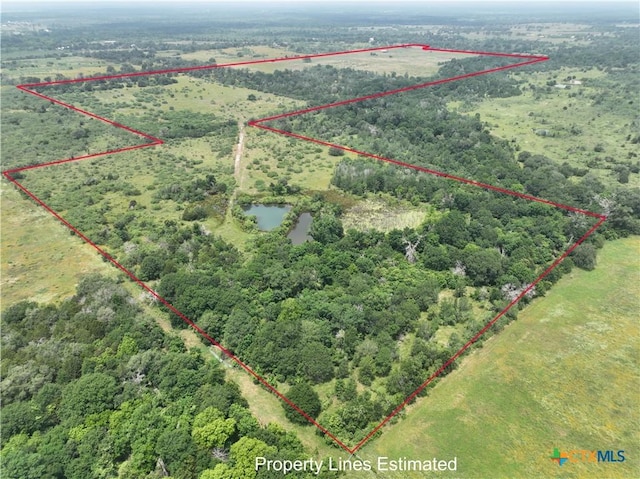 000 Fm 1115, Flatonia, TX 78941 - photo 19