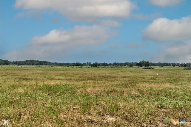 000 Fm 1115, Flatonia, TX 78941 - photo 10
