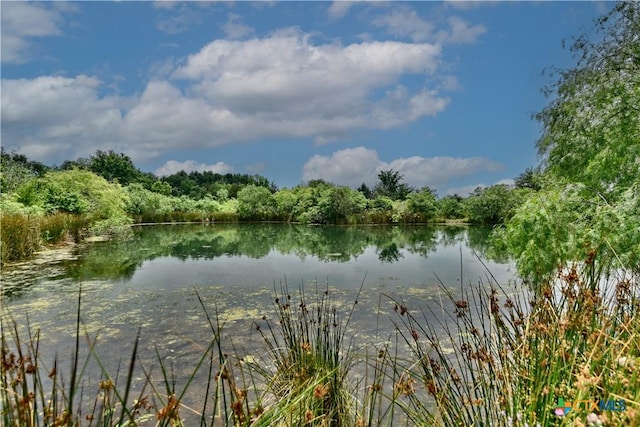 000 Fm 1115, Flatonia, TX 78941 - photo 1