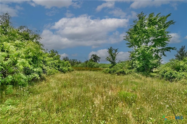 000 Fm 1115, Flatonia, TX 78941 - photo 3