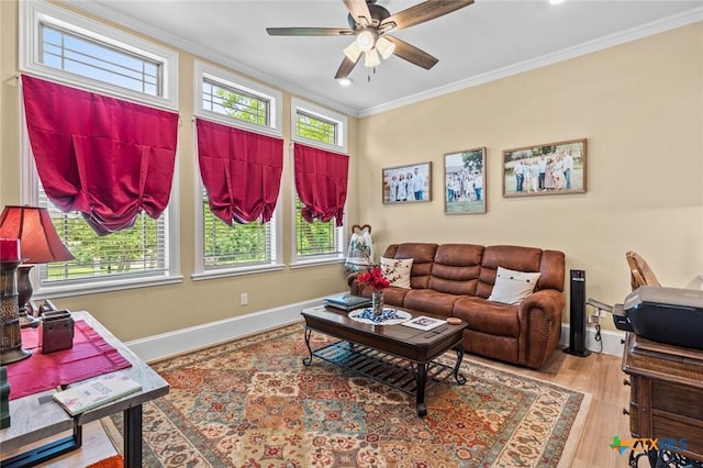 1605 Altavista Loop, Temple, TX 76502 - living area featuring crown molding, ceiling fan, baseboards, and wood finished floors