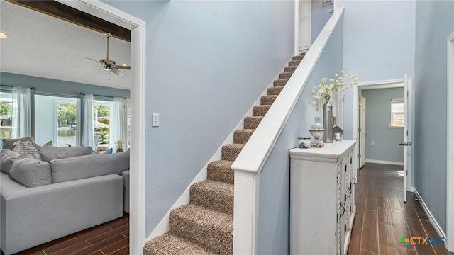 stairway with hardwood / wood-style flooring and ceiling fan