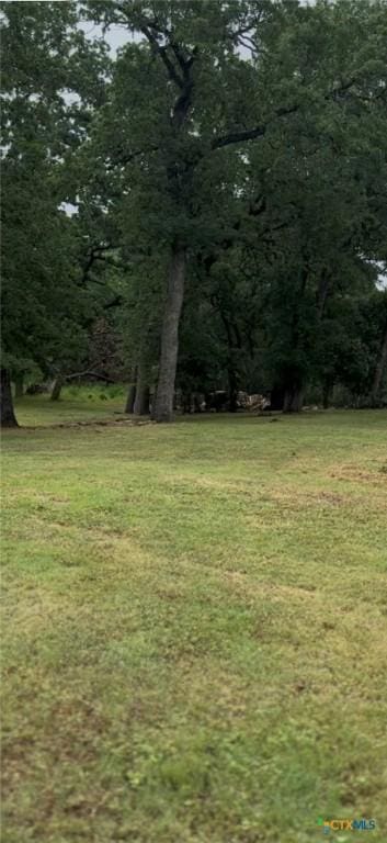 501 Live Oak St, Gatesville, TX 76528 - view of green lawn