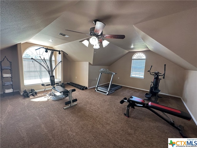 exercise area with ceiling fan, lofted ceiling, a textured ceiling, and carpet floors