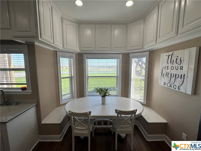 dining space featuring a wealth of natural light and dark wood-type flooring