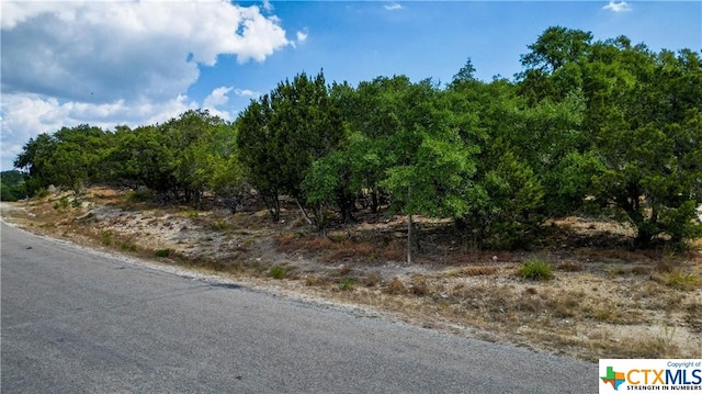 Listing photo 3 for 565 Buck Run Pass, Canyon Lake TX 78133